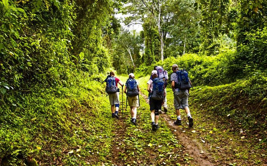 Kilimanjaro Marangu Trekking Package