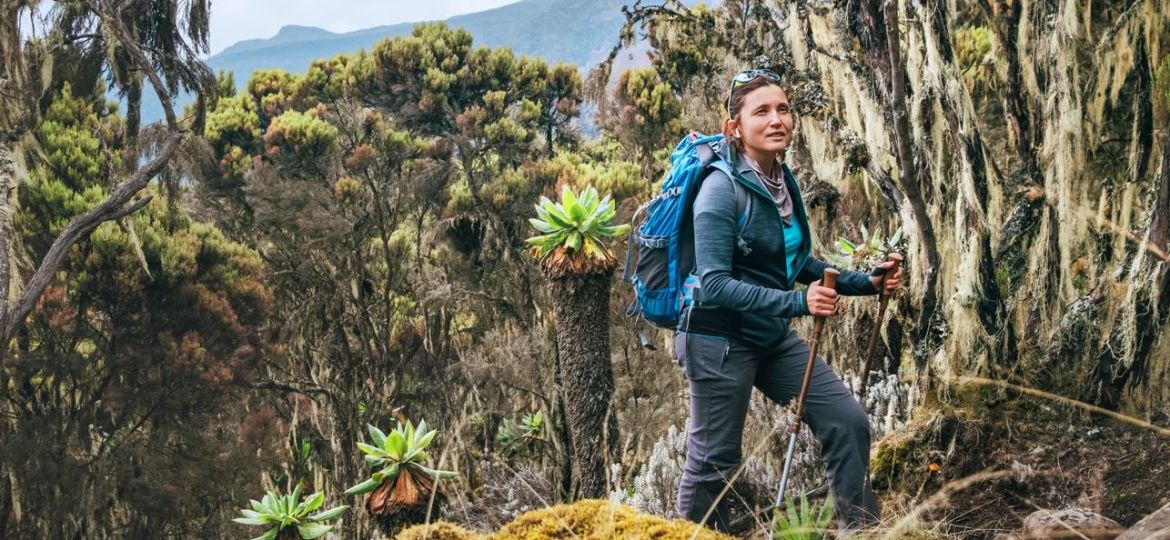 Kilimanjaro Umbwe Trekking
