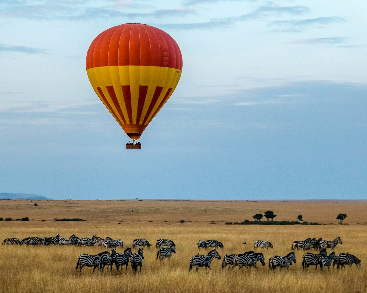 Top Tips For Your First Tanzania Safari