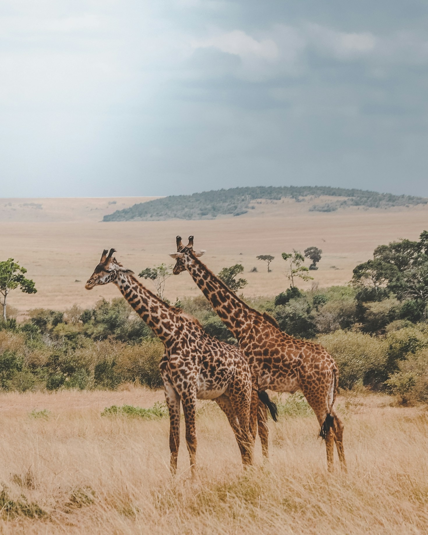 How To Prepare For A Kilimanjaro Expedition