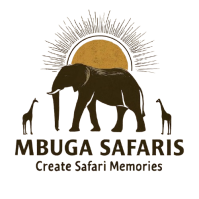 Mbuga Safaris